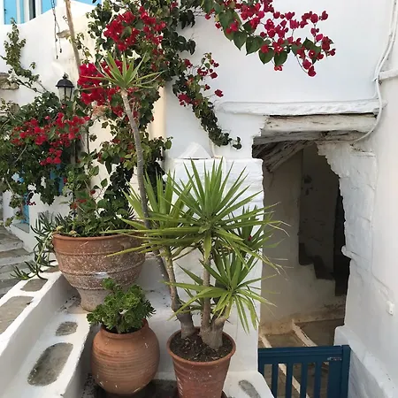 La Maison, *